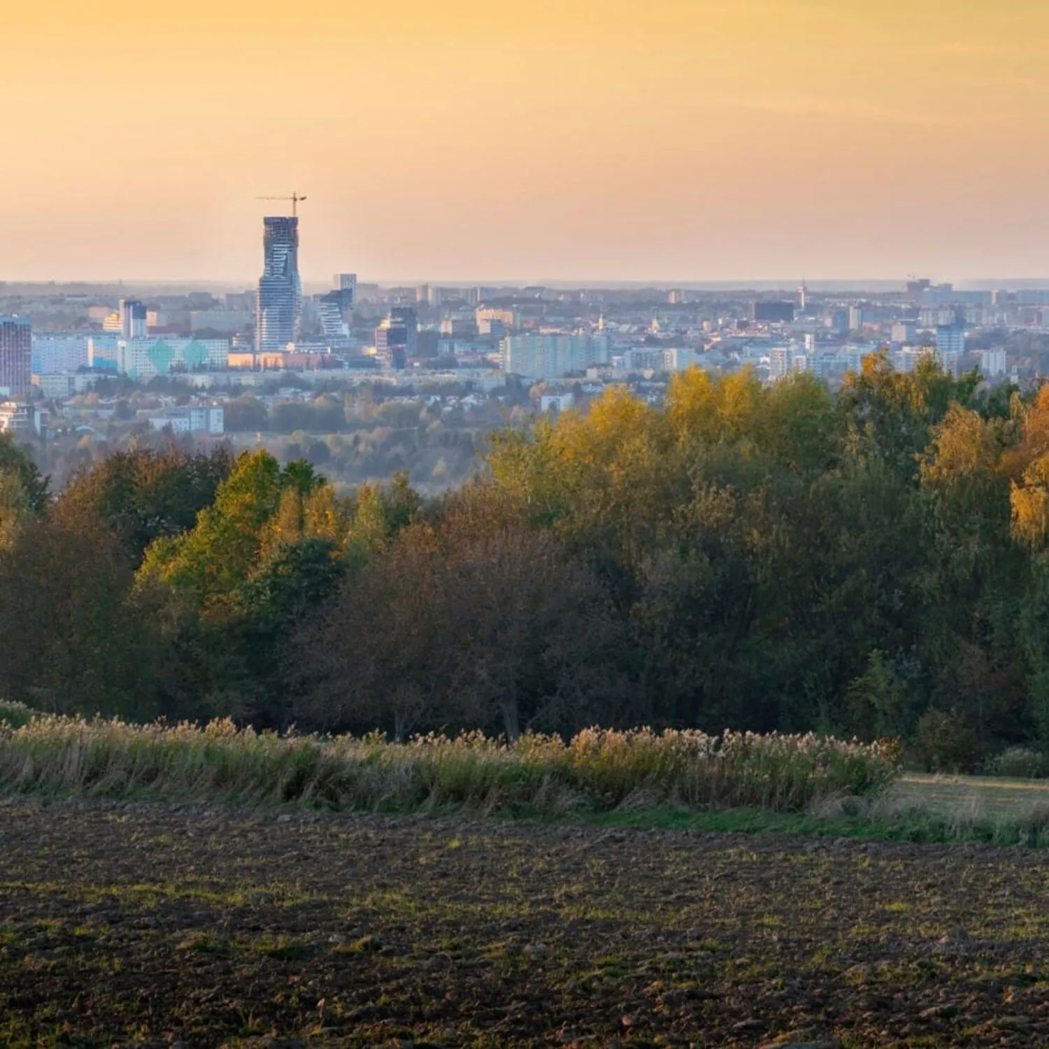 Rzeszów jako rosnące centrum magazynowe: strategiczne korzyści dla najemców i inwestorów